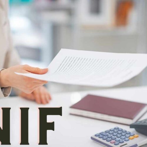 ВНЖ по программе стартап виза Португалии. Перенос успешного стартапа из России в Португалию. История переезда Антона.